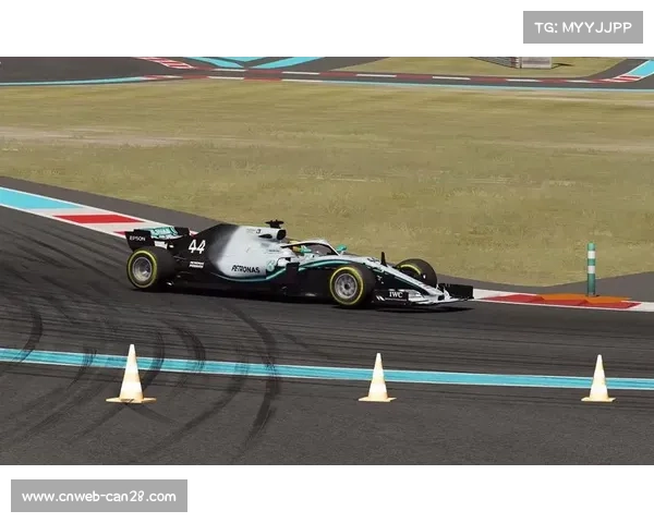 阿布扎比安全车概率分析：亚斯码头赛道事故历史统计